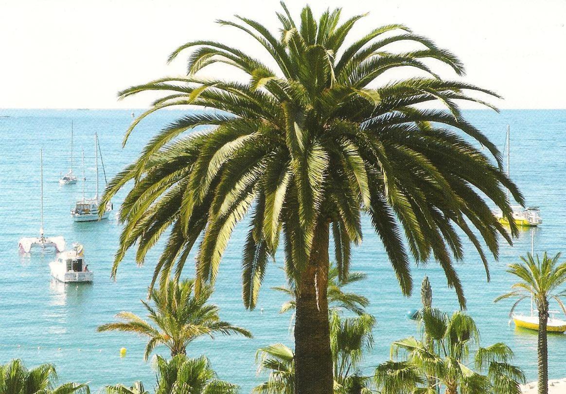 Studio Climatise. Proche Parking, Commerces Et Mer Apartment Carqueiranne Luaran gambar
